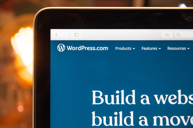 top WordPress theme